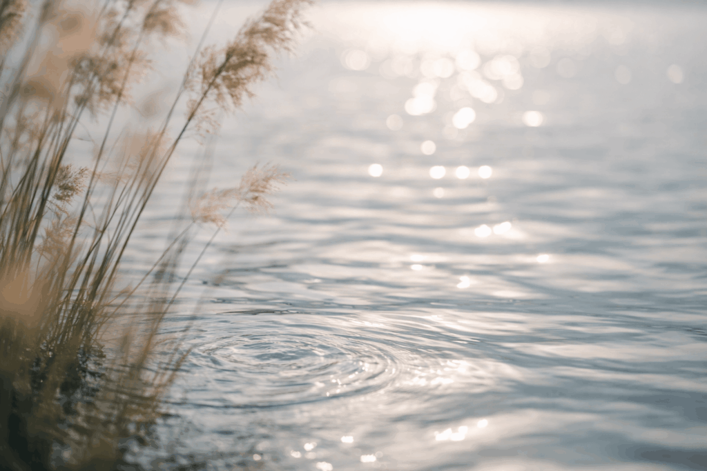 Nervensystem regulieren